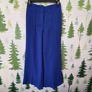 Express Royal Blue Wide Leg Pants